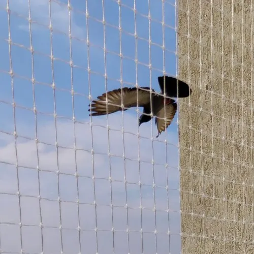 Pigeon Safety Nets Chennai
