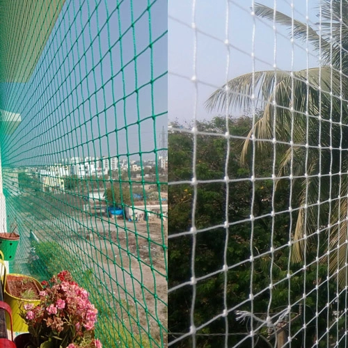 Sparrow Protection Nets Chennai