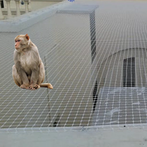 Monkey Safety Nets Chennai