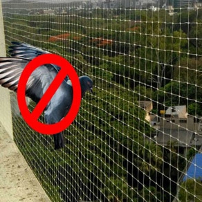 Pigeon Safety Nets Chennai